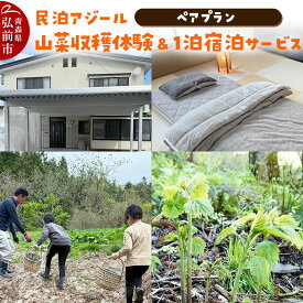 【ふるさと納税】【寄附金額見直しました】宿泊 民泊アジール 山菜収穫体験＆1泊宿泊サービス ペアプラン レターパックライト 青森県