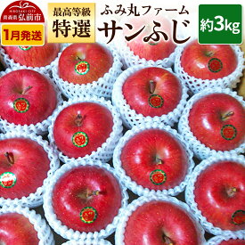 【ふるさと納税】【26年1月〜発送】りんご ふみ丸ファーム 最高等級「特選」サンふじ 約3kg