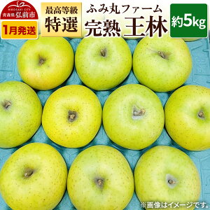 �y�ӂ邳�Ɣ[�Łz�y26�N1���`�����z��� �ӂ݊ۃt�@�[�� �ō������u���I�v���n ���� ��5kg