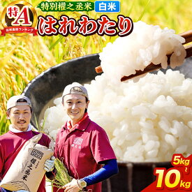 【ふるさと納税】はれわたり［白米］【5kg／10kg 選べる容量】特A 特別權之丞米 青森県産 令和7年産 [お米 東北 精米 青森 青森県産 白米 米 ブランド米]