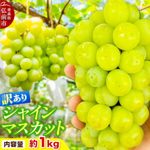 �y�ӂ邳�Ɣ[�Łz�y26�N10���`�N�[���֔����z�y��s��t�z�Ԃǂ��y�󂠂�z�V���C���}�X�J�b�g ��1kg �X���O�O�s