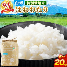 【ふるさと納税】米【特別栽培米】はれわたり 白米 【選べる 5kg〜20kg】令和7年産 特A 青森県弘前市産 [5キロ 小分け はれわたり 特別栽培米 白米 精米 ブランド米 青森県 弘前市産]