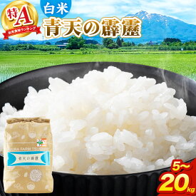 【ふるさと納税】米 青天の霹靂 白米 【選べる 5kg〜20kg】令和7年産 特A 青森県弘前市産 [5キロ 小分け 青天の霹靂 白米 精米 ブランド米 青森県 弘前市産]