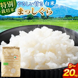 【ふるさと納税】米【特別栽培米】まっしぐら 白米 【選べる 5kg〜20kg】令和7年産 青森県弘前市産 [5キロ 小分け まっしぐら 特別栽培米 白米 精米 ブランド米 青森県 弘前市産]