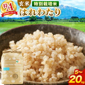 【ふるさと納税】米【特別栽培米】はれわたり 玄米【選べる 5kg〜20kg】令和7年産 特A 青森県弘前市産 [5キロ 小分け はれわたり 特別栽培米 玄米 ブランド米 青森県 弘前市産]