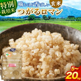 【ふるさと納税】米【特別栽培米】つがるロマン 玄米【選べる 5kg〜20kg】令和7年産 青森県弘前市産 [5キロ 小分け つがるロマン 特別栽培米 玄米 ブランド米 青森県 弘前市産]