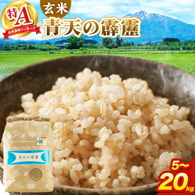 【ふるさと納税】米 青天の霹靂 玄米【選べる 5kg〜20kg】令和7年産 特A 青森県弘前市産 [5キロ 小分け 青天の霹靂 玄米 ブランド米 青森県 弘前市産]