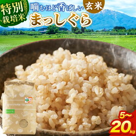 【ふるさと納税】米【特別栽培米】まっしぐら 玄米【選べる 5kg〜20kg】令和7年産 青森県弘前市産 [5キロ 小分け まっしぐら 特別栽培米 玄米 ブランド米 青森県 弘前市産]