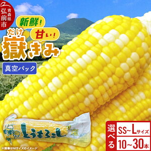 yӂ邳Ɣ[ŁzԂݐ^pbNyIׂ{×TCYz炩݃{