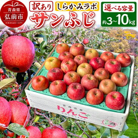 【ふるさと納税】りんご【26年12月中旬〜発送】サンふじ【訳あり】【選べる 約3kg／約5kg／約10kg】しらかみラボ 家庭用 青森県 弘前市 果物 フルーツ 林檎 リンゴ くだもの 不揃い 規格外 先行受付 [先行予約 産地直送 アップル おいしい]