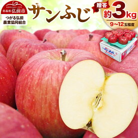【ふるさと納税】【26年2月発送】りんご 贈答規格 サンふじ 約 3kg（9〜12玉程度）