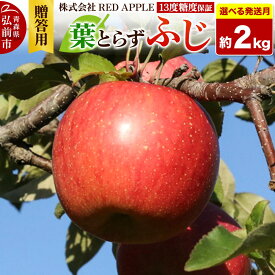 【ふるさと納税】りんご【選べる26年12月上旬〜／27年1月上旬〜 発送】葉とらずふじ【贈答用】約2kg 13度糖度保証 先行受付 [選べる りんご 葉とらず ふじ 贈り物 贈答用 お歳暮 お中元 ギフト プレゼント 糖度 果実 果物 赤 林檎]
