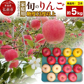 【ふるさと納税】【27年3月クール便発送】りんご 旬のリンゴ詰め合わせ【家庭用】約5kg 糖度13度以上【先行受付】 [先行予約 クール便 産地直送 詰め合わせ アップル おいしい 果実 美味 甘い 赤色 黄色]