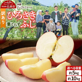【ふるさと納税】りんご【26年10月発送】ひろさきふじ 葉とらず【訳あり】【選べる約 5kg／10kg】家庭用 青森県 弘前市 果物 フルーツ 林檎 リンゴ くだもの 不揃い 規格外 [産地直送 アップル おいしい 果実 美味 甘い 赤色]
