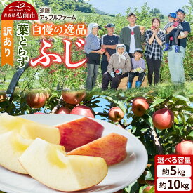 【ふるさと納税】りんご【26年11月下旬〜発送】葉とらず ふじ【訳あり】【選べる約 5kg／10kg】家庭用 青森県 弘前市 果物 フルーツ 林檎 リンゴ くだもの 不揃い 規格外 先行受付 [先行予約 産地直送 アップル おいしい 果実 美味 甘い]