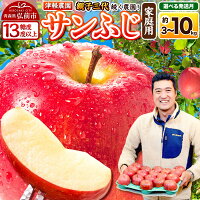 【ふるさと納税】りんご 【糖度13度以上】サンふじ【家庭用】約3kg／約5...