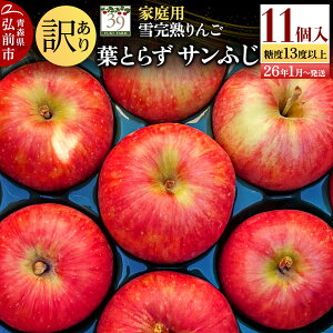 yӂ邳Ɣ[Łzy26N1`z y ʌ z󂠂 ኮn ƒp x13xȏ t炸 Tӂ 11