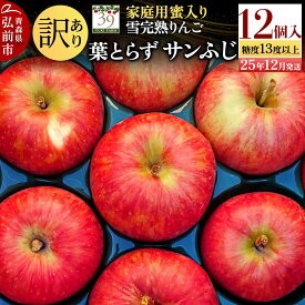 【ふるさと納税】【25年12月発送】りんご 【 数量限定 】訳あり 雪完熟 家庭用 蜜入り 糖度13度以上 葉取らず サンふじ 12個入り