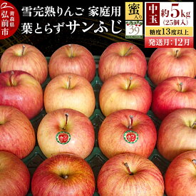 【ふるさと納税】【26年12月発送】りんご 葉とらず サンふじ【家庭用】約5kg（25個入）中玉 糖度13度以上 蜜入り 雪完熟【数量限定】家庭用 自然 青森県 弘前市 果物 フルーツ 林檎 不揃い 規格外 先行受付 [先行予約 産地直送 アップル]