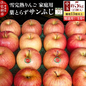 【ふるさと納税】【27年1月〜発送】りんご 葉とらず サンふじ【家庭用】約5kg（25個入）中玉 糖度13度以上 雪完熟【数量限定】家庭用 自然 青森県 弘前市 果物 フルーツ 林檎 不揃い 規格外 先行受付 [先行予約 産地直送 アップル おいしい]