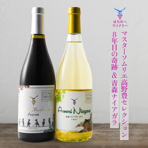 yӂ邳Ɣ[Łz8Nڂ̊ }X^[\GLZNV 750ml  XiCAKyÌz}X^[\GLZNV 750ml v2{ C C ԃC CZbg
