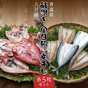 yӂ邳Ɣ[ŁzˎY IJ銱ƁAVcCRl ˎY ڑ銱 e5Zbg XY 
