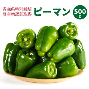 yӂ邳Ɣ[ŁzyXʍ͔|zs[} 500g sNV[  { X ˎs k Y 