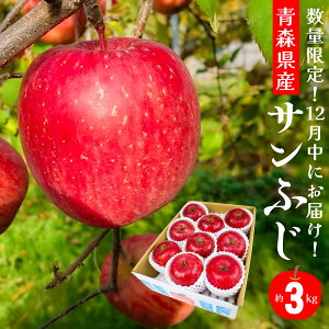 yӂ邳Ɣ[Łz12ɂ͂I XY Tӂ  3kg ь ʕ t[c Nz ƒp p 