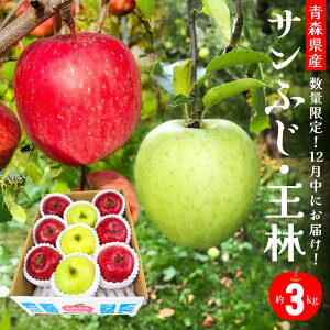 yӂ邳Ɣ[Łz12ɂ͂I XY Tӂ   3kg  ь ʕ t[c Zbg l Nz ƒp p 