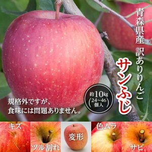 yӂ邳Ɣ[ŁzN10kg͂܂!@󂠂񂲁uTӂv24`46yR7N12{`Jnz_  ь 󂠂 t[c ʕ   KiO X 10kg lC 