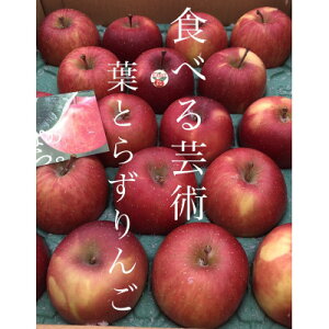 yӂ邳Ɣ[Łzꉟ!ƂƂ˂l߂񂲁@tƂ炸Tӂ@p@5kg@ґ!y1342650z