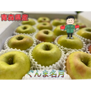 yӂ邳Ɣ[ŁzTӂ& MtgZbg ϔ 5kg(14`20)y1513852z
