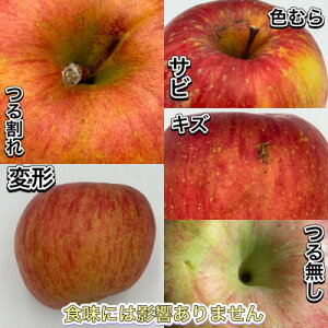 yӂ邳Ɣ[Łzy󂠂izTӂ@3kg(7`12)@ߘa7N11`y1519575z