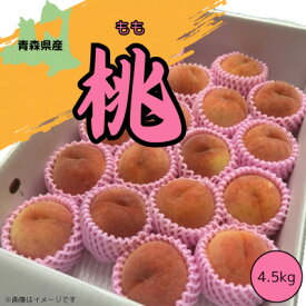 【ふるさと納税】青森県産 桃 5kg(15～20玉)【2025年8月中旬～発送開始】【配送不可地域：離島】【1548640】