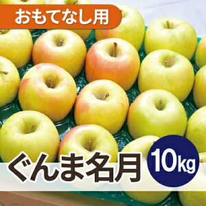 yӂ邳Ɣ[Łzϓx13xȏ! ܖ 10kg ĂȂpyzsnFꌧzy1610377z