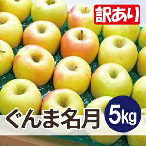 yӂ邳Ɣ[Łzϓx13xȏ! ܖ 5kg 󂠂yzsnFꌧzy1610380z