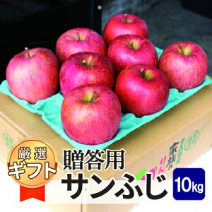 yӂ邳Ɣ[Łzϓx13xȏ! Tӂ 10kg yzsnFꌧzy1611196z