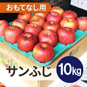 yӂ邳Ɣ[Łzϓx13xȏ! Tӂ 10kg ĂȂpyzsnFꌧzy1611202z
