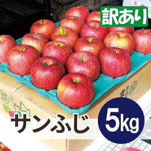 yӂ邳Ɣ[Łzϓx13xȏ! Tӂ 5kg 󂠂 N[ցyzsnFEꌧzy1611230z