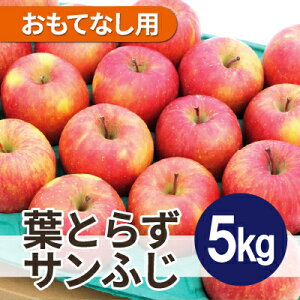 yӂ邳Ɣ[Łzϓx13xȏ! tƂ炸Tӂ 5kg ĂȂpyzsnFꌧzy1611290z