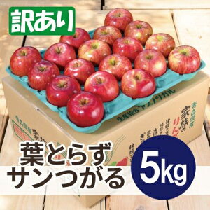yӂ邳Ɣ[Łzy25N10菇zϓx12xȏ! tƂ炸T 5kg 󂠂yzsnFꌧzy1611760z