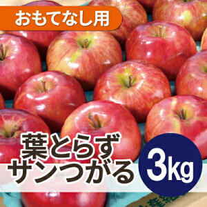 yӂ邳Ɣ[Łzy25N10菇zϓx12xȏ! tƂ炸T 3kg ĂȂpyzsnFꌧzy1611763z