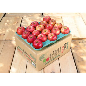 yӂ邳Ɣ[Łzy25N10菇zϓx12xȏ! tƂ炸T 3kg 󂠂yzsnFꌧzy1611764z