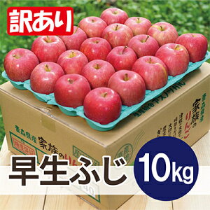 yӂ邳Ɣ[Łzy25N11菇zϓx13xȏ! ӂ 10kg 󂠂yzsnFꌧzy1611789z