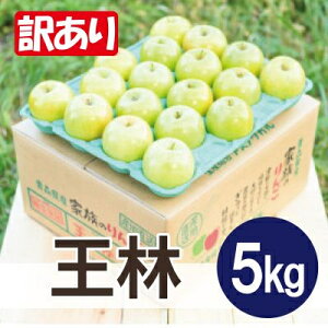 yӂ邳Ɣ[Łzϓx13xȏ!  5kg 󂠂 N[ցyzsnFEꌧzy1611829z