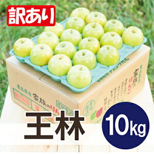 �y�ӂ邳�Ɣ[�Łz�y26�N1����菇�������z���ϓ��x13�x�ȏ�! ���� ��10kg �󂠂�y�z���s�n��F���ꌧ�z�y1611840�z