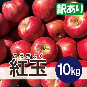 yӂ邳Ɣ[Łzy26N4菇z g 10kg 󂠂 N[ցyzsnFEꌧzy1611868z