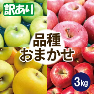 yӂ邳Ɣ[Łz i킨܂ 3kg 󂠂yzsnFꌧzy1613251z