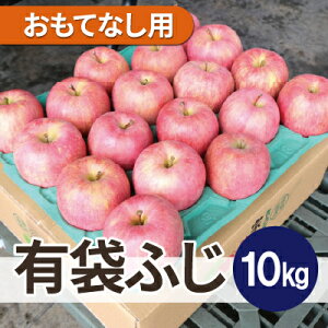 yӂ邳Ɣ[Łzϓx13xȏ! L܂ӂ 10kg ĂȂp CA N[ցyzsnFEꌧzy1613260z