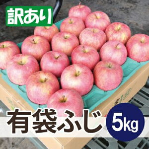 �y�ӂ邳�Ɣ[�Łz�y26�N3���o�ח\��z���ϓ��x13�x�ȏ�! �L�܂ӂ� ��5kg �󂠂�y�z���s�n��F���ꌧ�z�y1613268�z